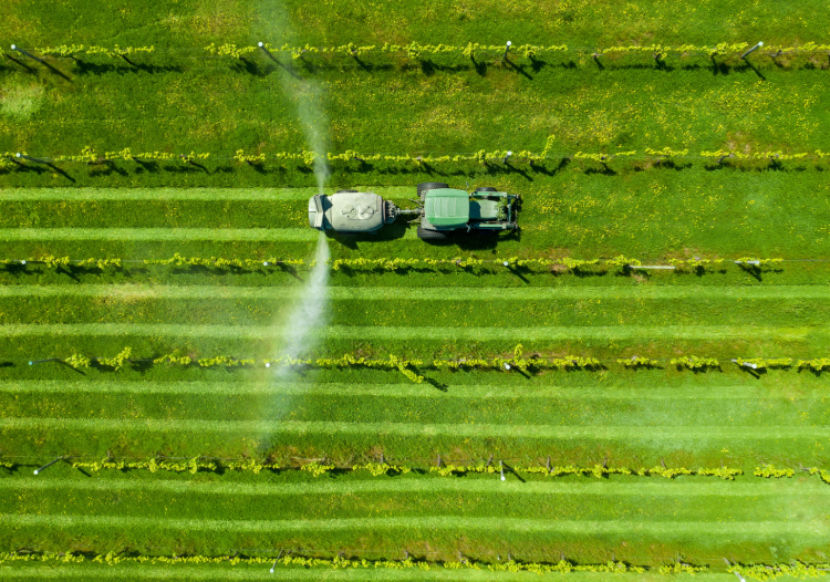 Producing fertiliser is a food security challenge
