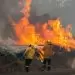 High-tech imaging tools enable quick fire response