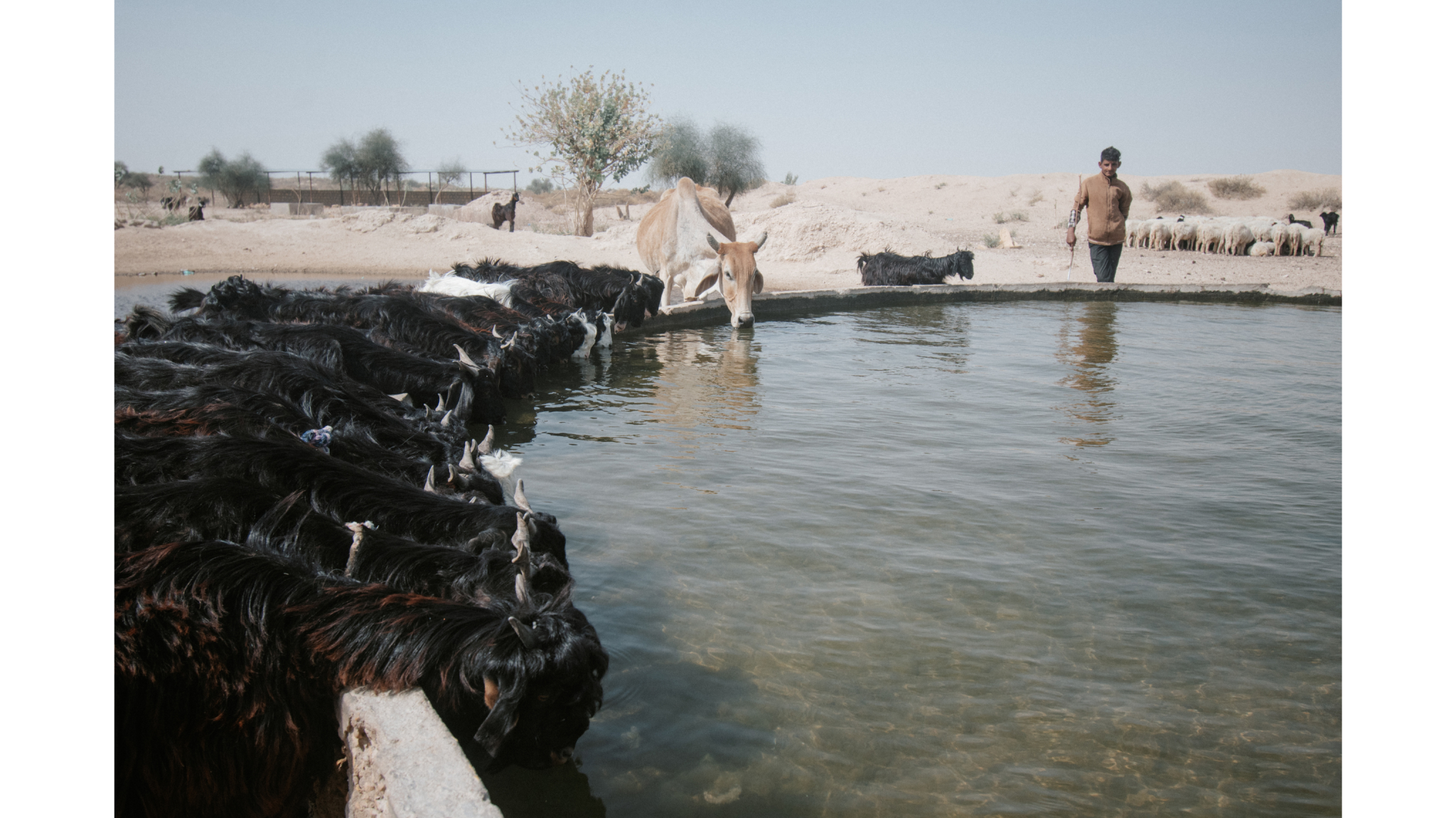 Arpan Basu Chowdury Concrete Between Thirst and Survival Jaisalmer Rajasthan India