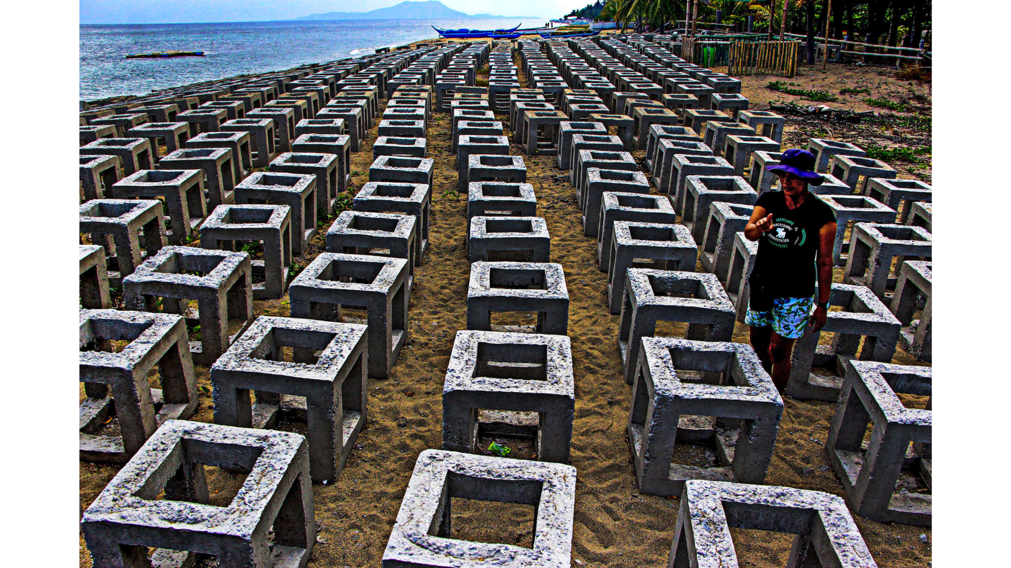 Gregorio Jr. Dantes Artificial Coral Reef Lobo Batangas Province Philippines