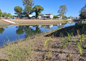 This utility’s natural, community-driven solution for wet-weather overflows