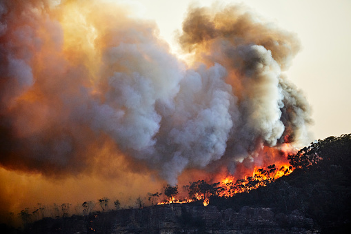 5 ways Australia’s new emissions target will shape the future of engineering