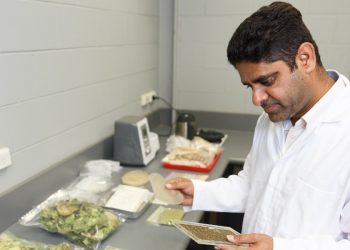 Manufacturing sustainable packaging from food waste materials