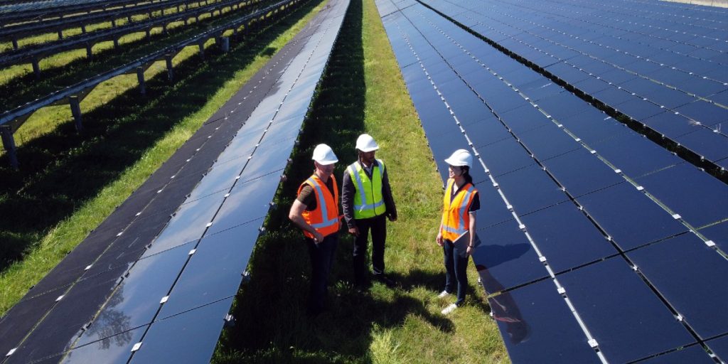 Three engineers stand on grass surrounded by solar panels