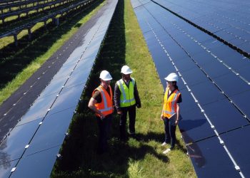 Three engineers stand on grass surrounded by solar panels