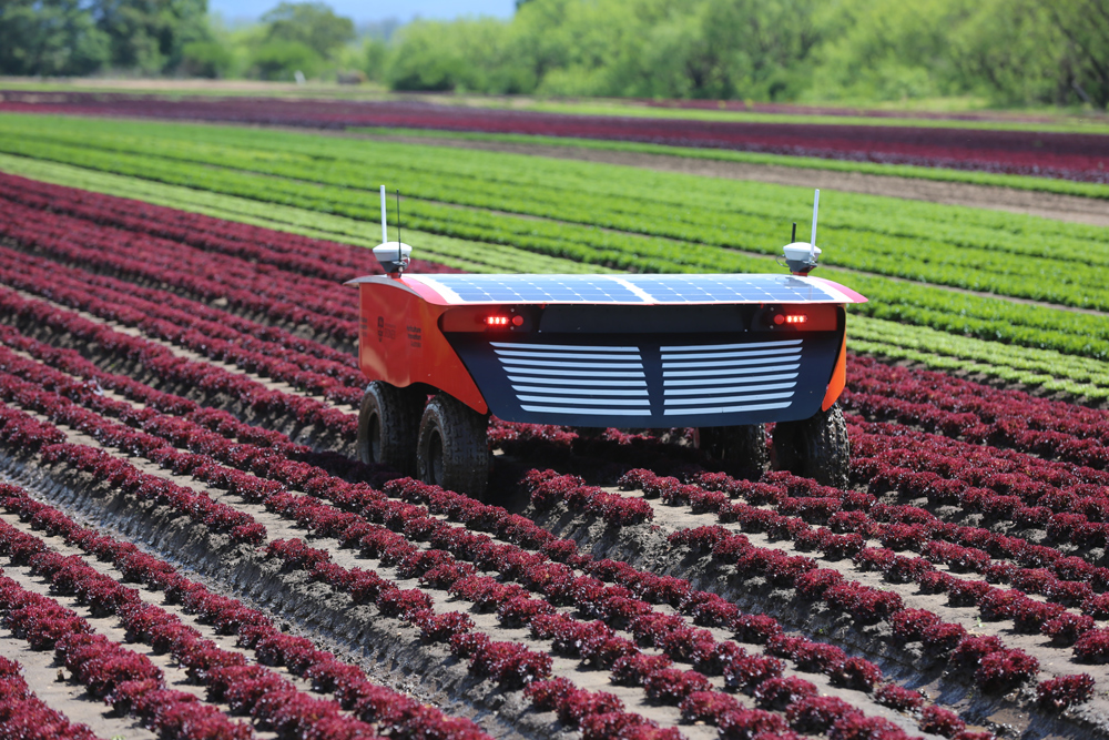 agriculture robots