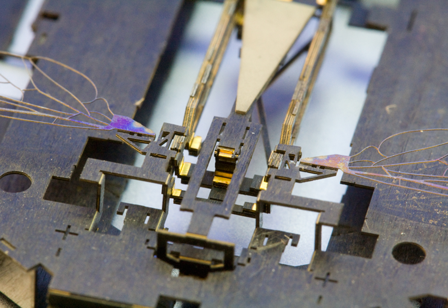 These new developments have technology buzzing like a bee