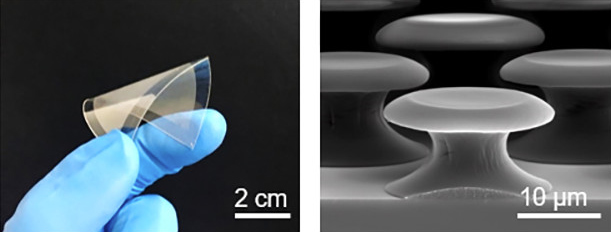 microstructures create a powerful underwater adhesive