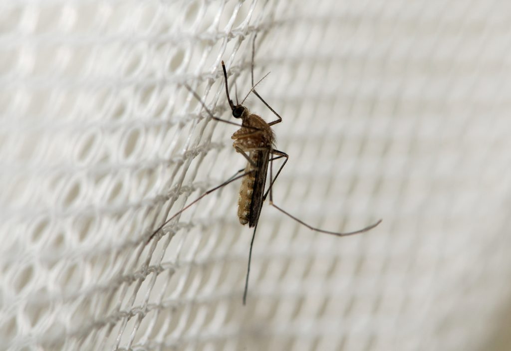 New innovation tests for malaria without drawing a drop of blood