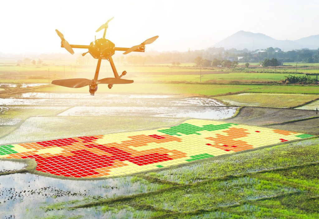 Can drones and satellites help improve global food security?