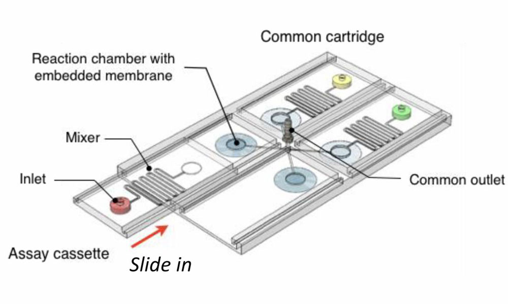 colour-changing sensors for disease diagnosis