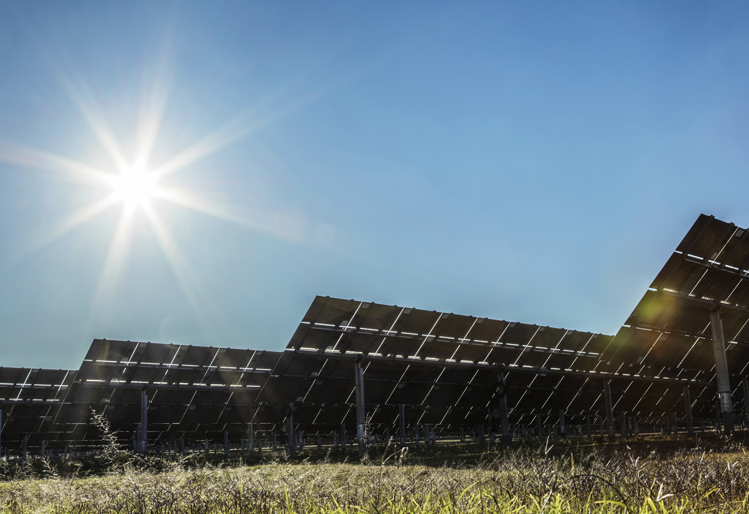NSW’s largest solar power farm gets the green light