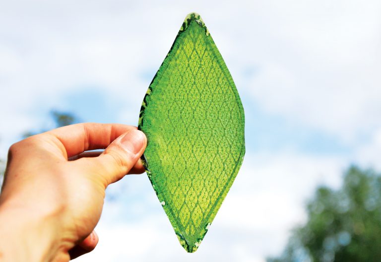 These artificial leaves could one day transform any building into green ...