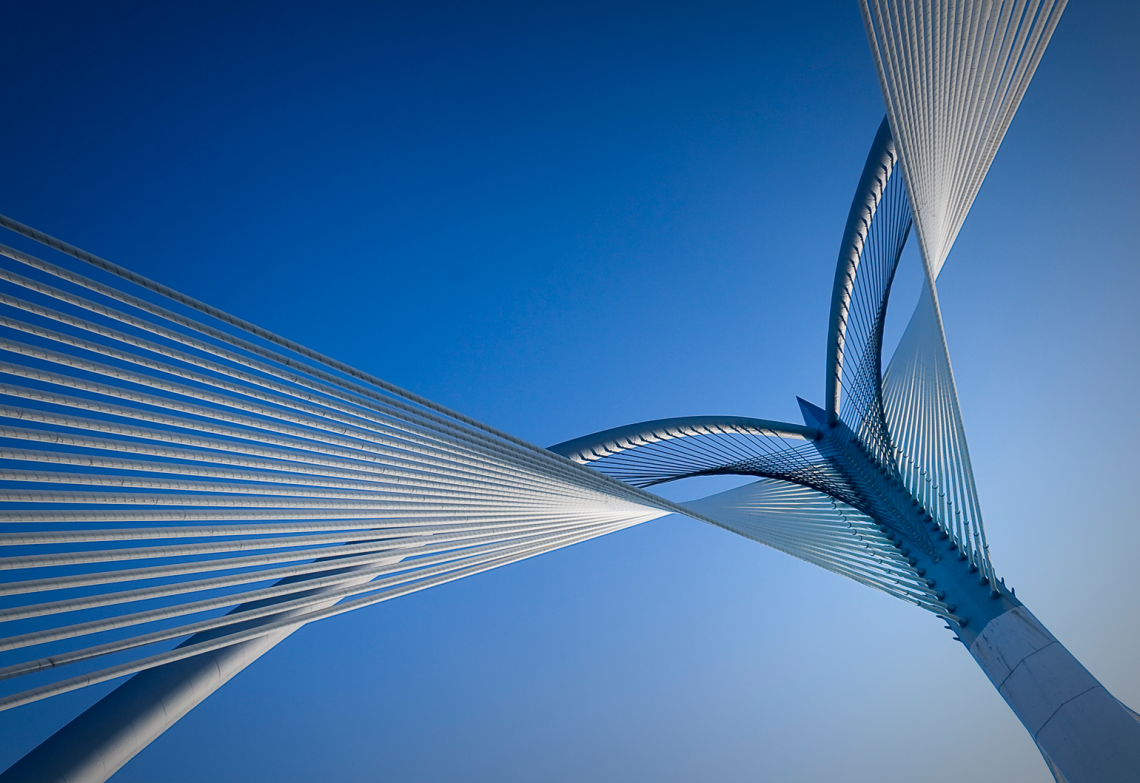 team management across engineering disciplines