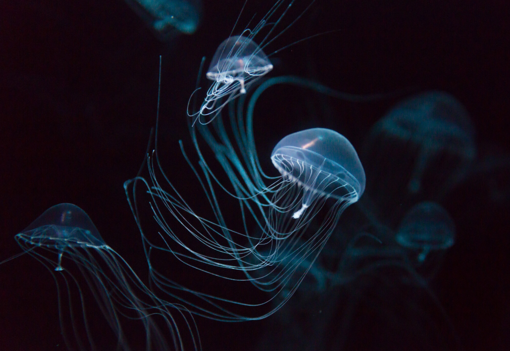 jellyfish-inspired self-healing electronic skin