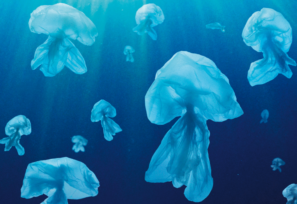 engineers fighting plastic waste in the world's oceans