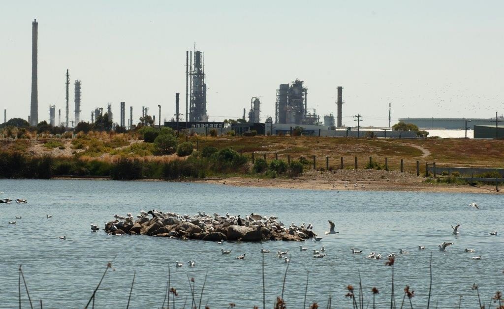 The Altona Refinery