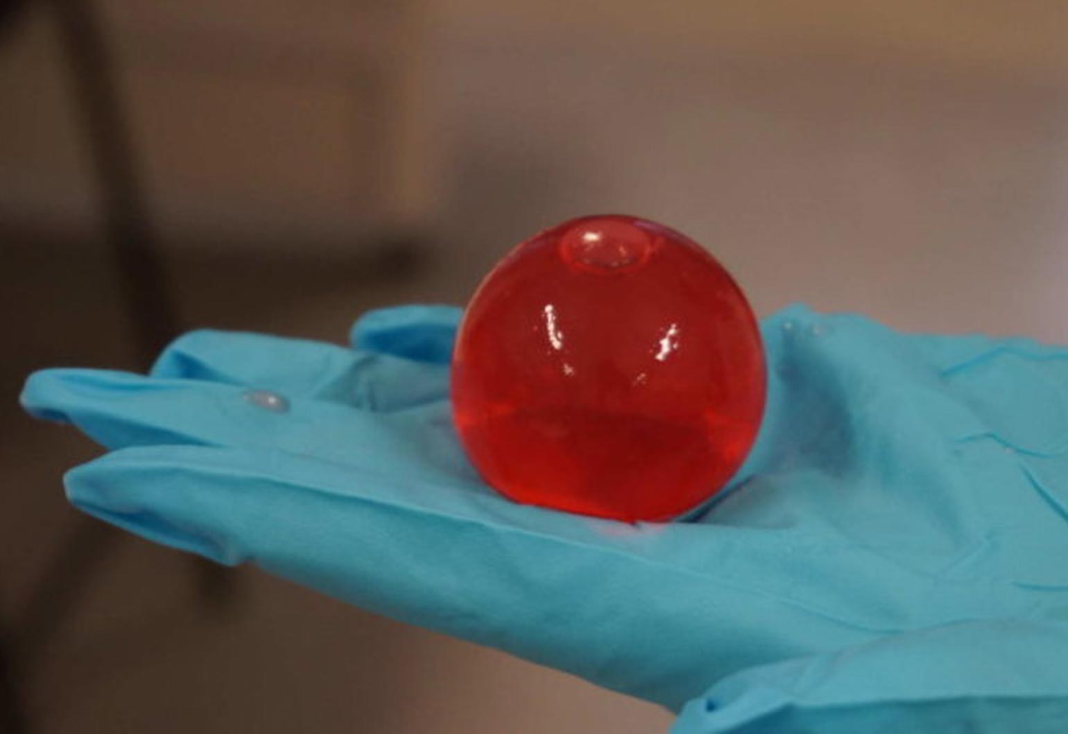 edible water bottle made from seaweed