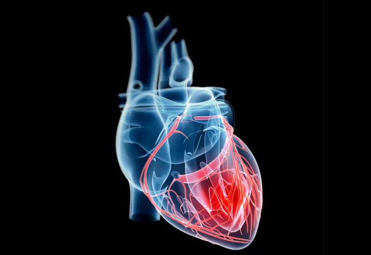 cardiac patches to help heart attack survivors heal