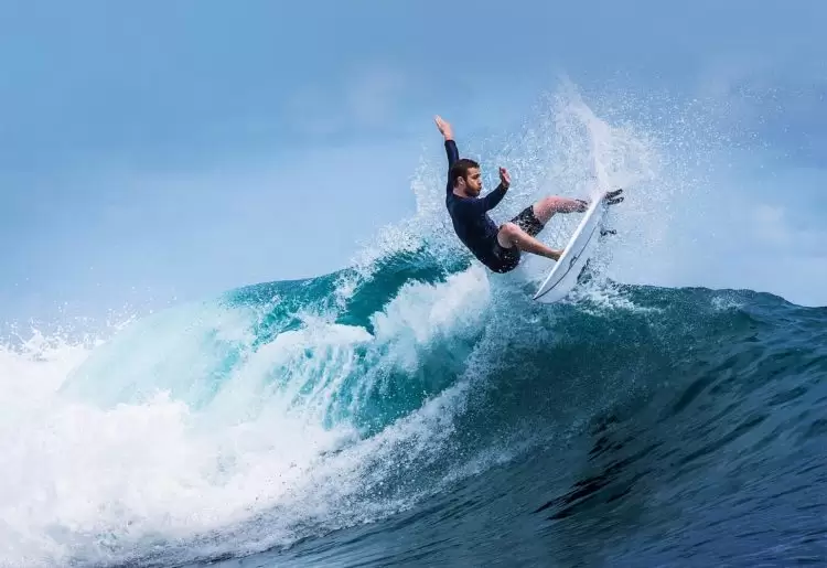 3D printed surf fins inspired by whales