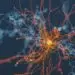 Fibres spun from graphene are hacking into the body’s electrical signals to help organs heal