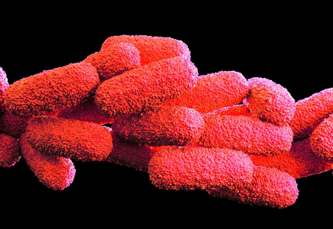 Chemical engineers “connect the dots” to protect utility workers from airborne illnesses like Legionnaires disease