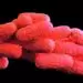 Chemical engineers “connect the dots” to protect utility workers from airborne illnesses like Legionnaires disease