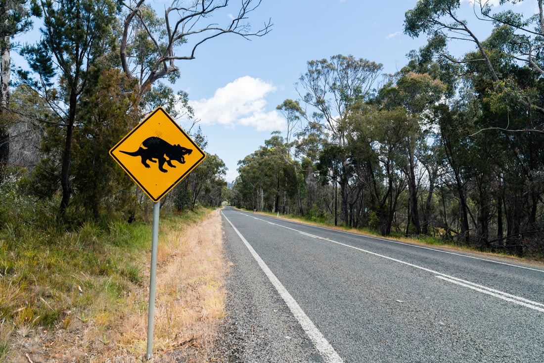 Hi from australia. Devil's Road. Devil Roads Libeccio.