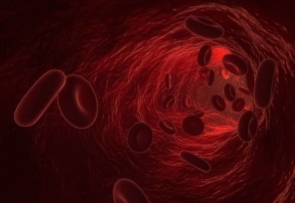 3d render of red blood cells or corpuscle flowing in a blood vessel. Medical or biology concept illustration.