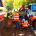 green concrete trial