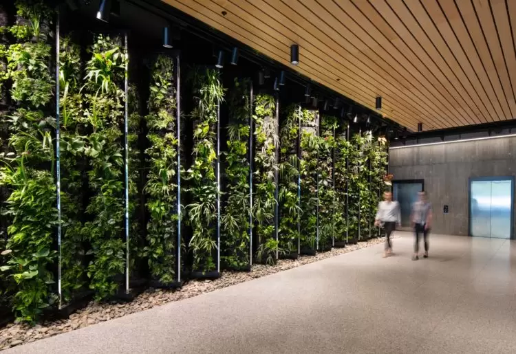 engineered timber building