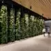 engineered timber building