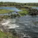 eel traps at Budj Bim
