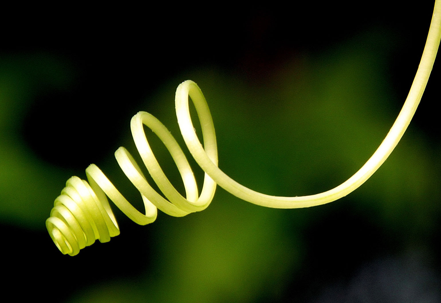 Climbing plant tendrils inspire a material that could power up