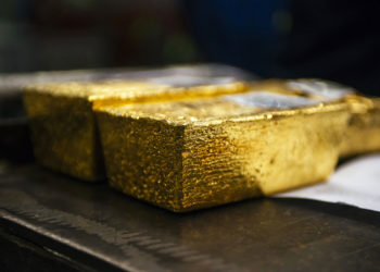 fungi could help find mineral deposits