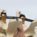 medical engineering innovation