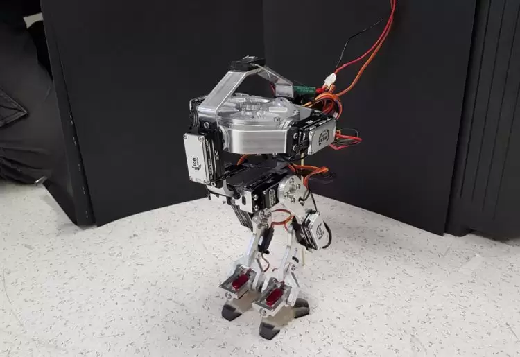 bipedal walking robots