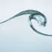 An offshore oil and gas company lends its expertise to developing wave energy technology