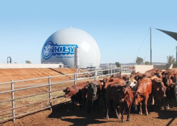 producing biogas