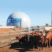 producing biogas