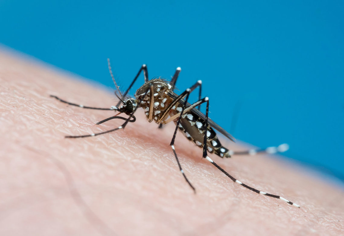 mosquito repelling clothing made from graphene