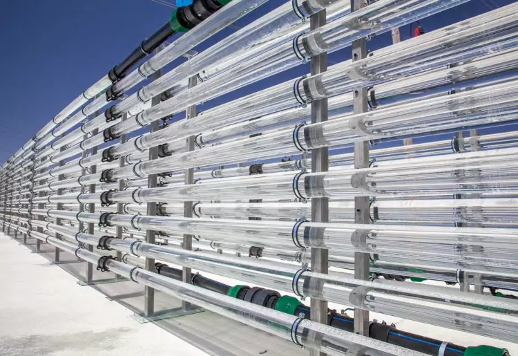 carbon capture effectiveness