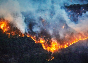bushfires