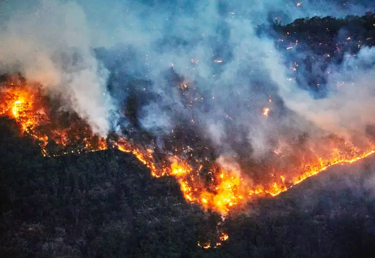 bushfires