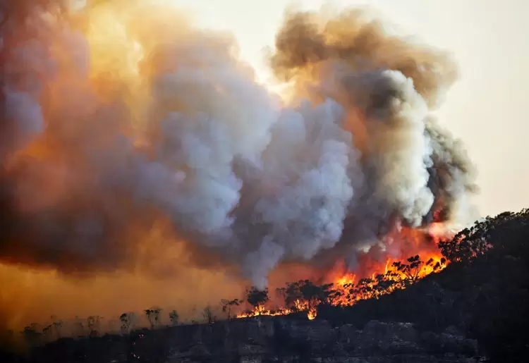Bushfire mitigation: “Tackling climate change must be number one” says engineer