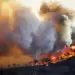 Bushfire mitigation: “Tackling climate change must be number one” says engineer