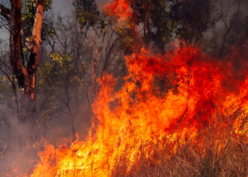 hazard reduction burning and cultural burning