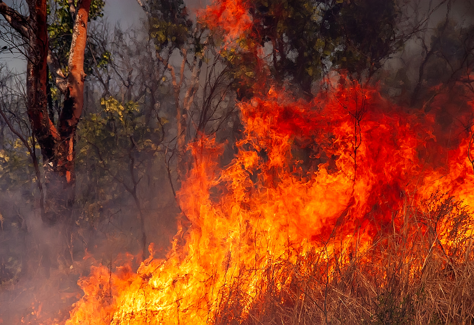 Can Hazard Reduction Burning And Cultural Burning Protect Against 