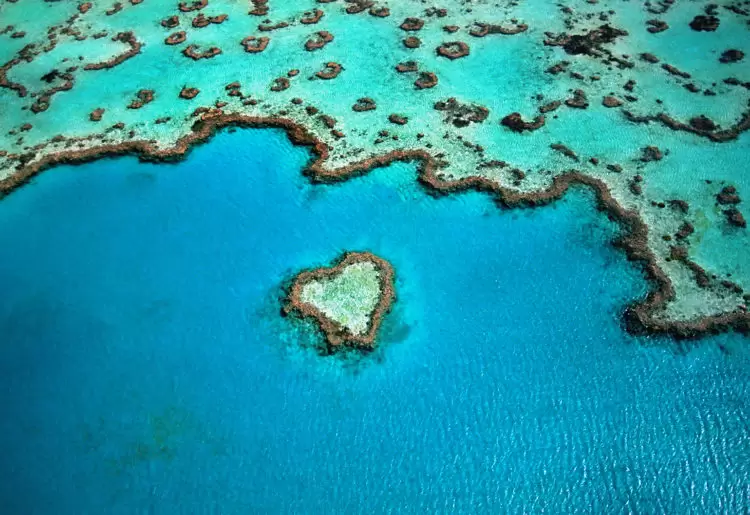 The Great Barrier Reef