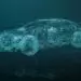 An Australian company is bridging the gap between manual and autonomous cars